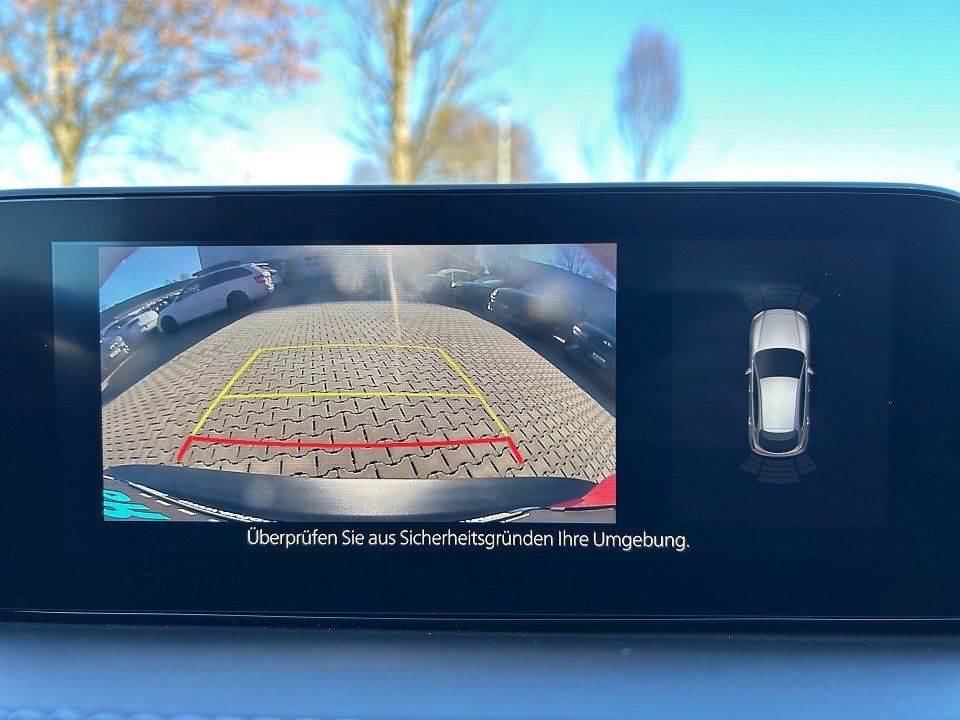 Fahrzeugabbildung Mazda CX-30 SKY-X 180 AWD 6AG SELECTION AHK BOSE LEDER