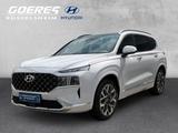 Hyundai SANTA FE Signa. 4WD*AHK*Allwetter*Leder belüftet - Hyundai in Mainz