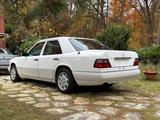Mercedes-Benz Mercedes w124  200 Diesel 68tsd Km Schalte... - Mercedes-Benz 200: W124