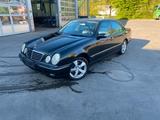 Mercedes-Benz Mercedes Benz E430 4matic W210 TÜV(05/26) - Mercedes-Benz E 430 Gebrauchtwagen