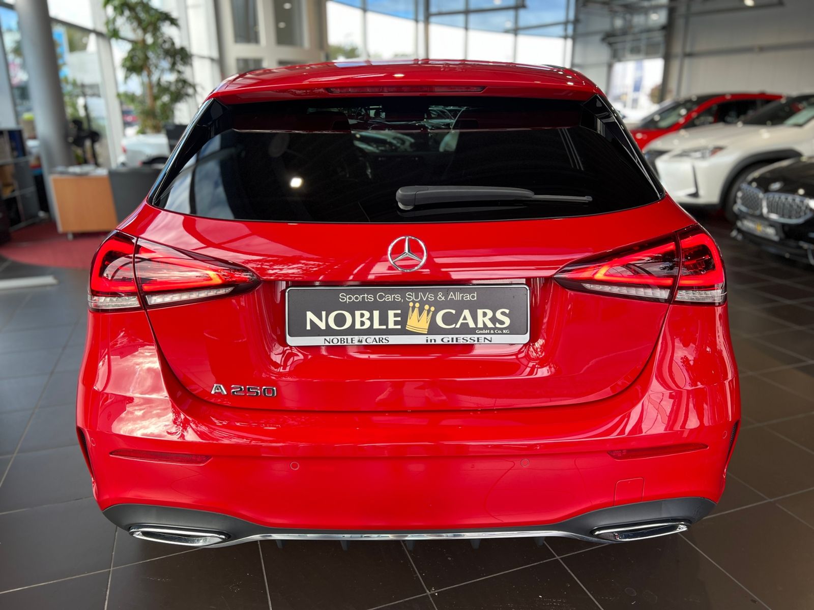 Fahrzeugabbildung Mercedes-Benz A 250 AMG RFK LED Ambiente
