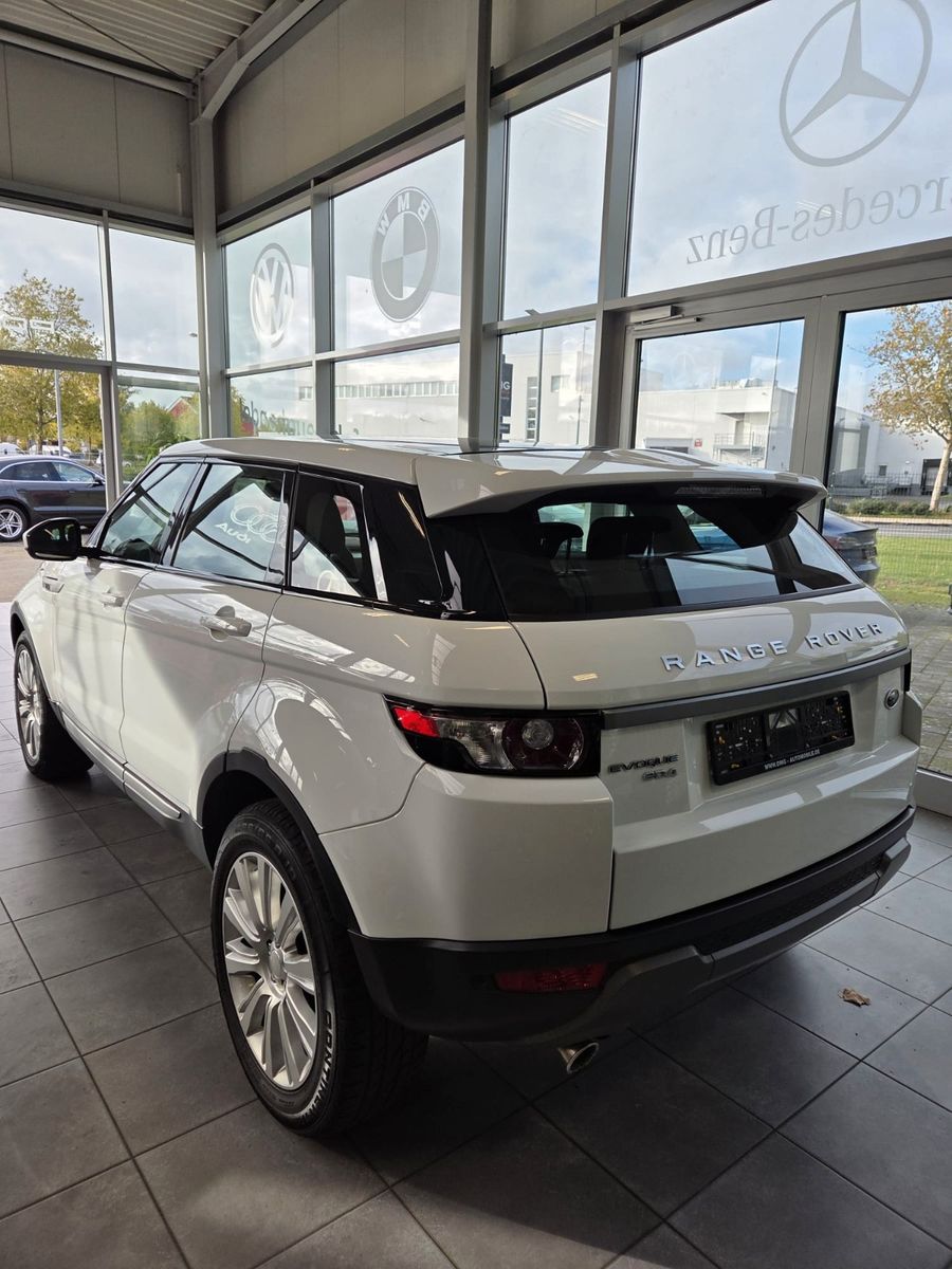 Fahrzeugabbildung Land Rover Range Rover Evoque Dynamic/erst 80000 km!