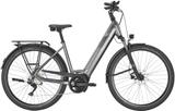 Pegasus PREMIO EVO 10 S - 28" - Pegasus E-Bikes