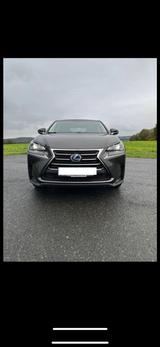 Lexus NX 300 300h - - Lexus aus 2015