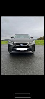 Lexus NX 300 300h - - Lexus NX 300 von privat