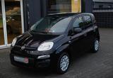 Fiat Panda 1.0 Hybrid 51kW/70PS, Klima, PDC, DAB - Fiat Panda aus 2025