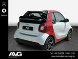 Smart smart fortwo cabrio Autom. Navi RFK SHZ Tempomat - Smart: Auto