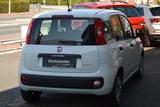 Fiat Panda Urban Hybrid 1.0 GSE/Klima/Radio/Bluetooth - Fiat Panda: 1.1