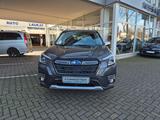 Subaru Forester 2.0ie Comfort Lineartronic - Subaru Forester in Köln