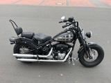 Harley-Davidson Cross Bones FLSTSB