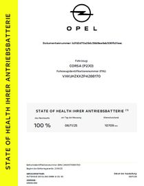 Opel Corsa Elektro 11 kW Charger Sitz-&Lenkradheizung