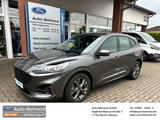 Ford Kuga ST-Line 2.0 Automatik Frontkamera