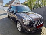 MINI Cooper Cabrio Highgate, Aut, SportLeder, Shz - MINI Cooper Cabrio: Automatik