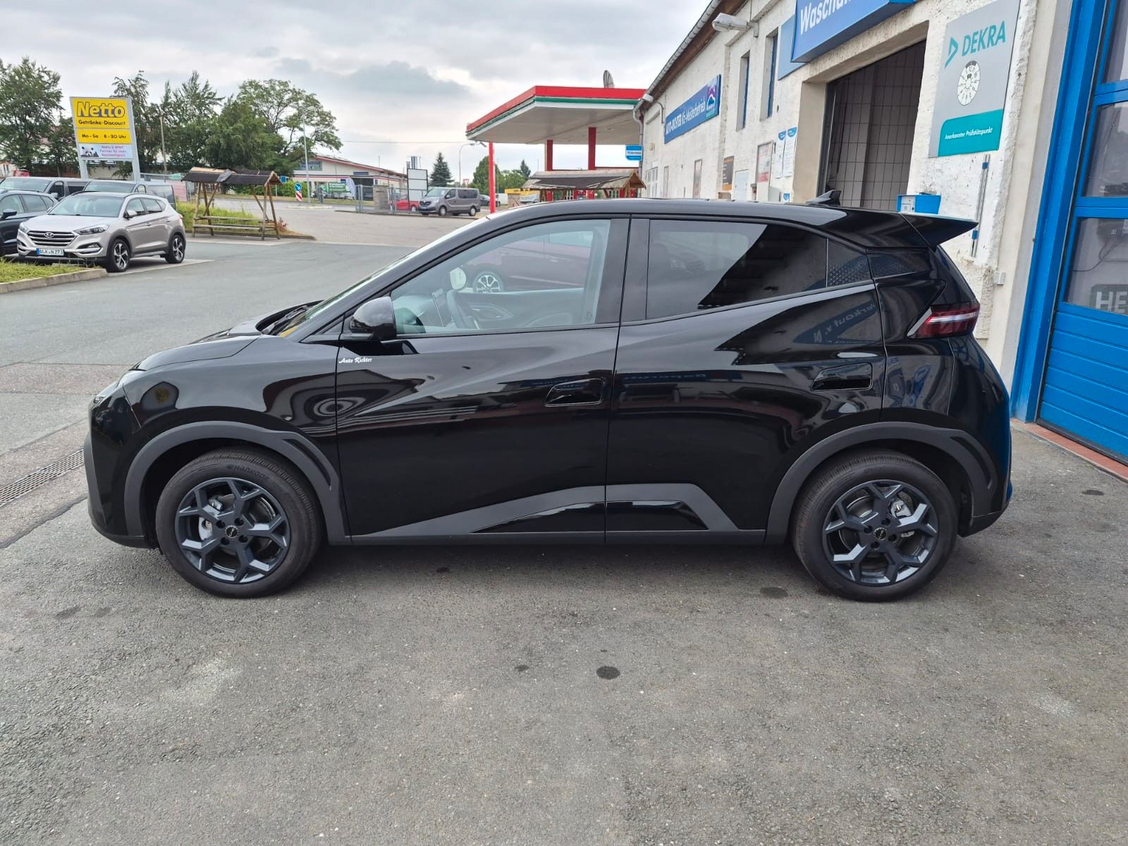 BYD DOLPHIN SURF