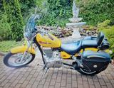 Suzuki Savage LS 650/ Originalzustand/ TüV neu  - Offers