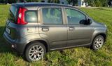Fiat New Panda 1.2 8V LOUNGE - scheckheftgepflegte Fiat New Panda