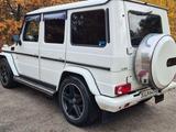 Mercedes-Benz G 500 - Guter Zustand - Sehr gepflegt - Mercedes-Benz G 500 aus 2007