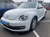 Volkswagen Beetle 1.2 TSI BMT ALLSTAR Cabriolet ALLSTAR - Volkswagen Beetle in Wuppertal