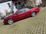 Mercedes-Benz Winterpreis- Mercedes w208 CLK Cabrio 200 ... - Mercedes-Benz 200 aus 2000