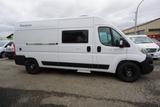 Chausson V594 First Line Fiat - Markise - Offers matching your search criteria