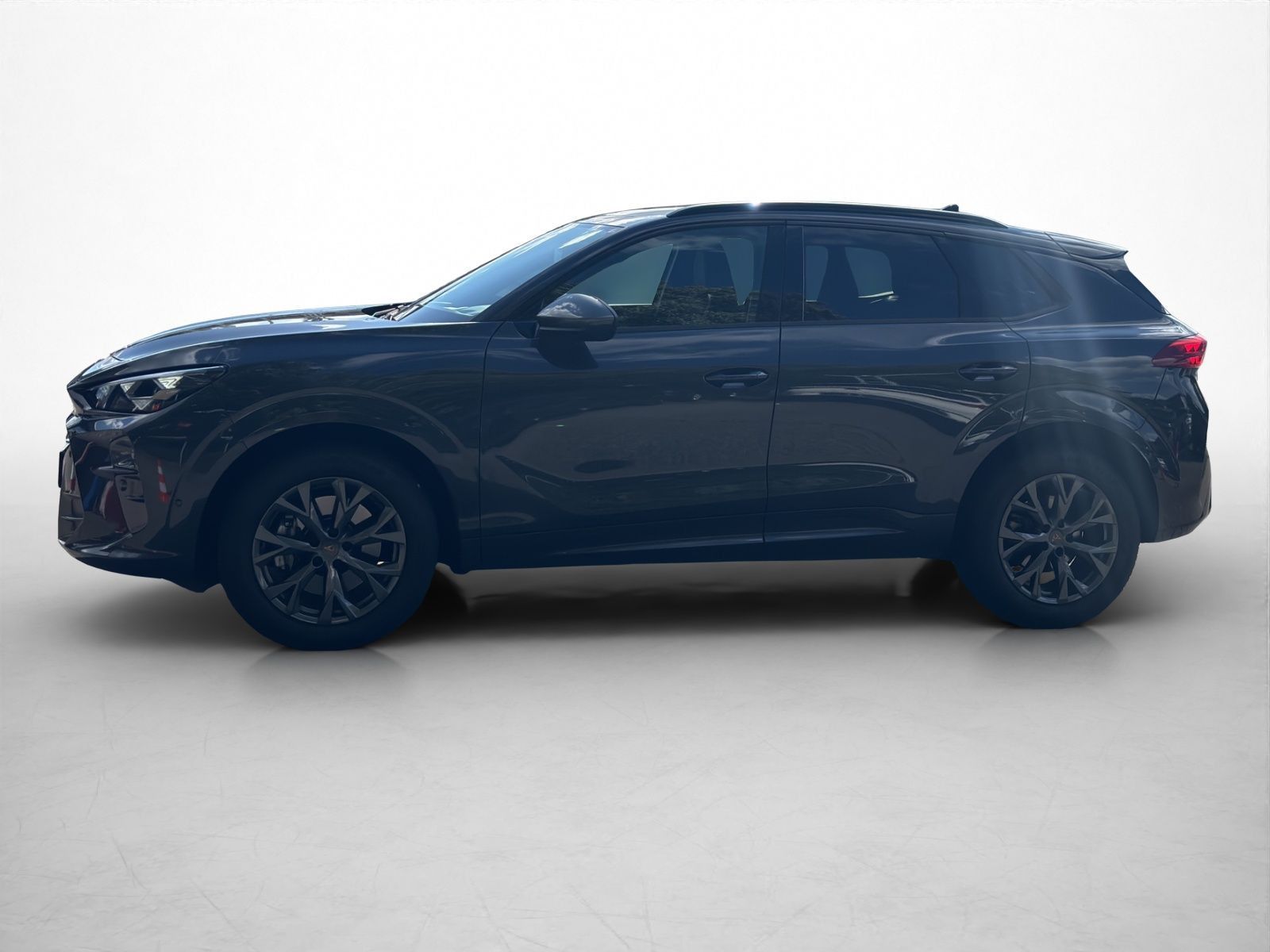 Cupra Terramar 2.0 TSI 4Drive Navi Matrix Kamera El.H foto 5