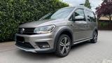 Volkswagen Caddy 1,4TSI 92kW DSG BMT Alltrack 5-Sitzer ... - : Beige