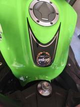 Kawasaki Ninja 300 ABS - SPORTLER VON 251 BIS 500 CCM