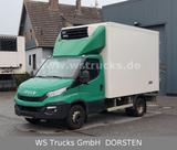 Iveco Daily Carrier 3 Rohrbahnen - Iveco grün