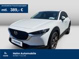 Mazda CX-30 2.0 SKYACTIV-X M Hybrid Selection 2WD AHK - Mazda CX-30 in Stuttgart
