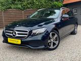 Mercedes-Benz E 250 T Avantgarde 1. Hand Widescreen LED Kamera - Mercedes-Benz: Grün