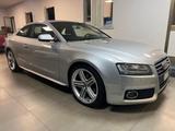 Audi AUDI A5 COUPE 2.0 TDI .CV 170 4X4 - Audi A5: TDI 170