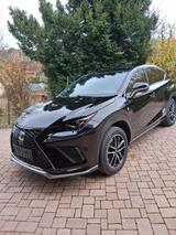 Lexus NX 300h Garantie ,4x Inspektion inklusive  - Lexus: Allradantrieb