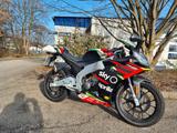 Aprilia RS125 ABS GP Replica | 700km |  wie neu - APRILIA RS 125 REPLICA