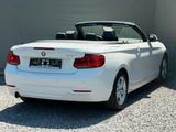 BMW 218 i 2 Cabrio Autom. SPORT LEDER LED KEYLESS - : Allradantrieb, Cabrio