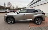 Lexus NX 350h - Lexus aus 2019