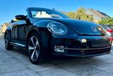 Volkswagen New Beetle Cabriolet tsi 1.2 - VW New Beetle von privat