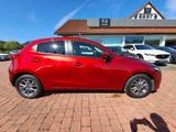Mazda 2 EXCLUSIVE-LINE ++NAVI+AHK+SHZG.++ - gebrauchte Mazda 2 aus dem Jahr 2021