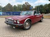 Jaguar XJ 12 V12 5.3l - Jaguar XJ12 mit Benzin-Antrieb: Limousine, 5.3