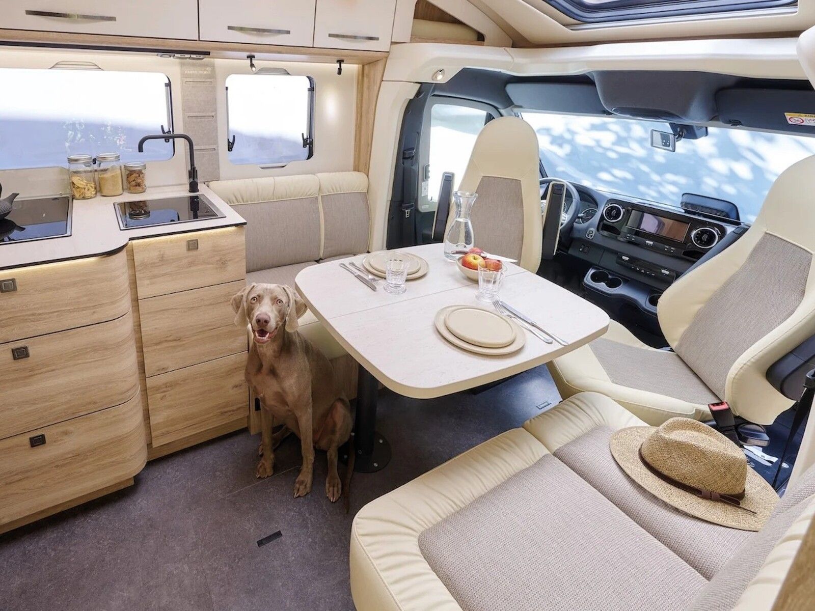 Fahrzeugabbildung Eura Mobil Profila T PT 726 EF Dörr 30 Jahre Sonderedition