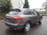 Porsche Cayenne Basis - Porsche Cayenne mit Benzin-Antrieb