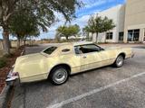 Lincoln Continental Mark IV *All-Inclusive* - Lincoln Continental: I