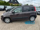 Fiat Panda Lounge - gebrauchte Fiat Panda aus dem Jahr 2012
