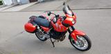 Triumph Tiger 955i - TRIUMPH TIGER 955I