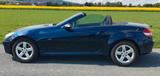 Mercedes-Benz SLK 280 - SLK Roadster - Mercedes-Benz SLK-Class: Blau