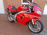 Triumph Daytona 955i  -  viele Extras - Offers matching your search criteria