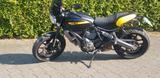 Ducati Scrambler Full Throttle - Ducati Motorräder in Köln
