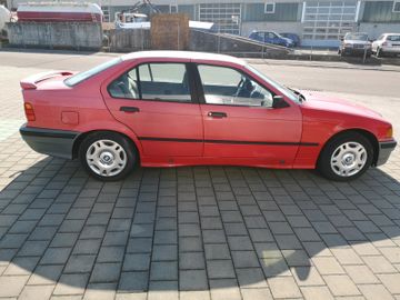 BMW 316 - 6