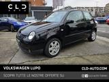 Volkswagen Lupo 1.4 TDI cat Highline - Volkswagen Lupo: TDI