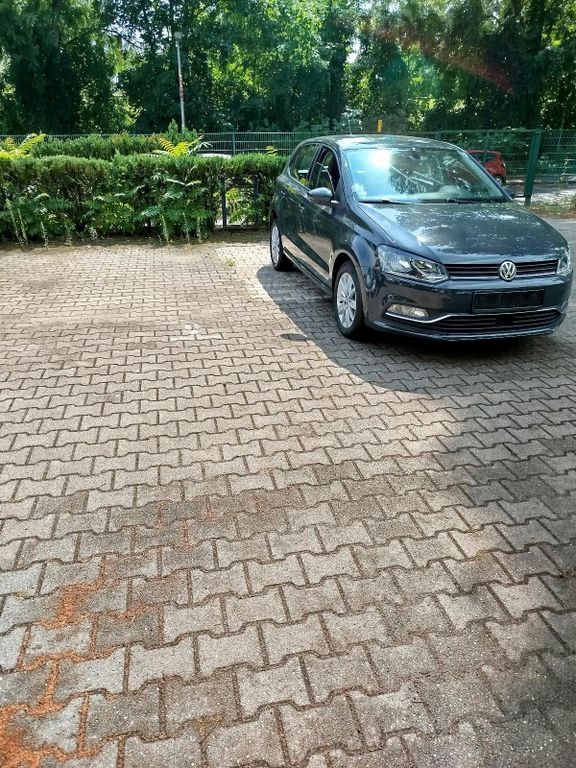 Image of Volkswagen Polo