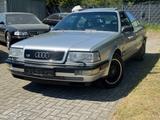 Audi V8 Quattro, H-Zulassung, 2HD, Tüv Neu  , S-Heft - Audi V8: Allradantrieb